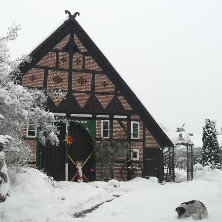 De Lut Ferienhof Jameln Appartement Buitenkant foto