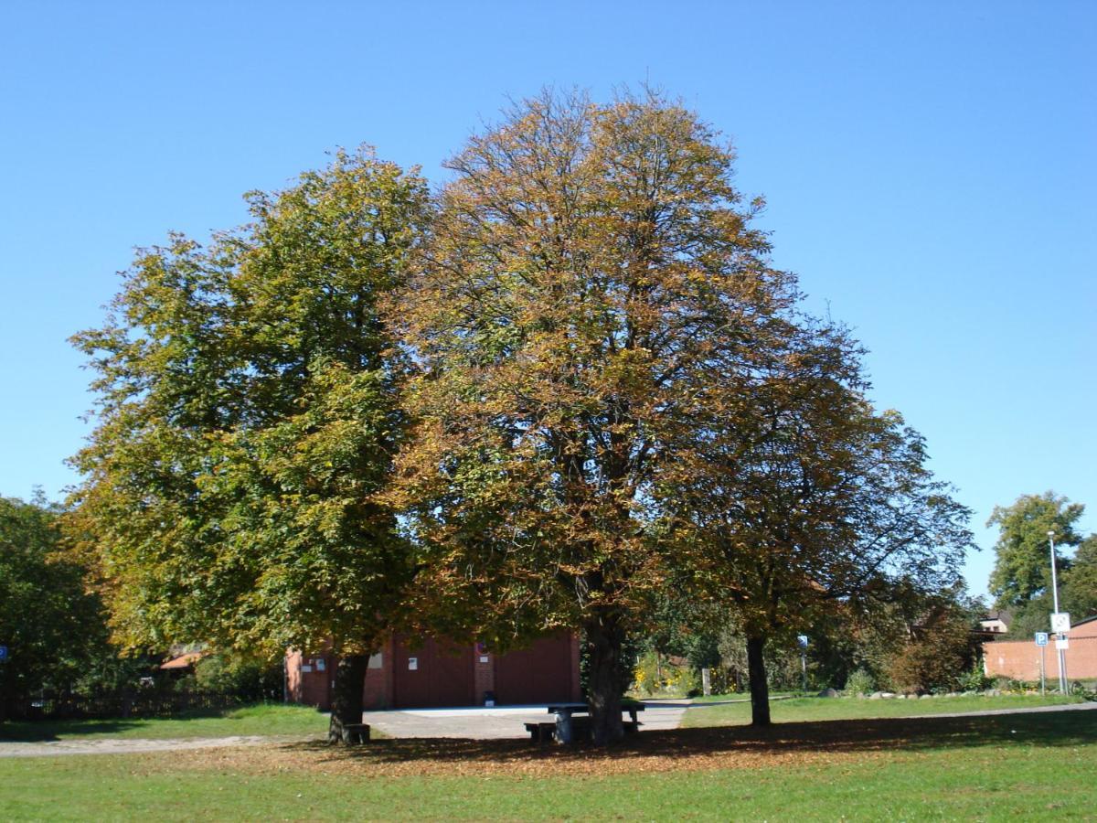 De Lut Ferienhof Jameln Appartement Buitenkant foto