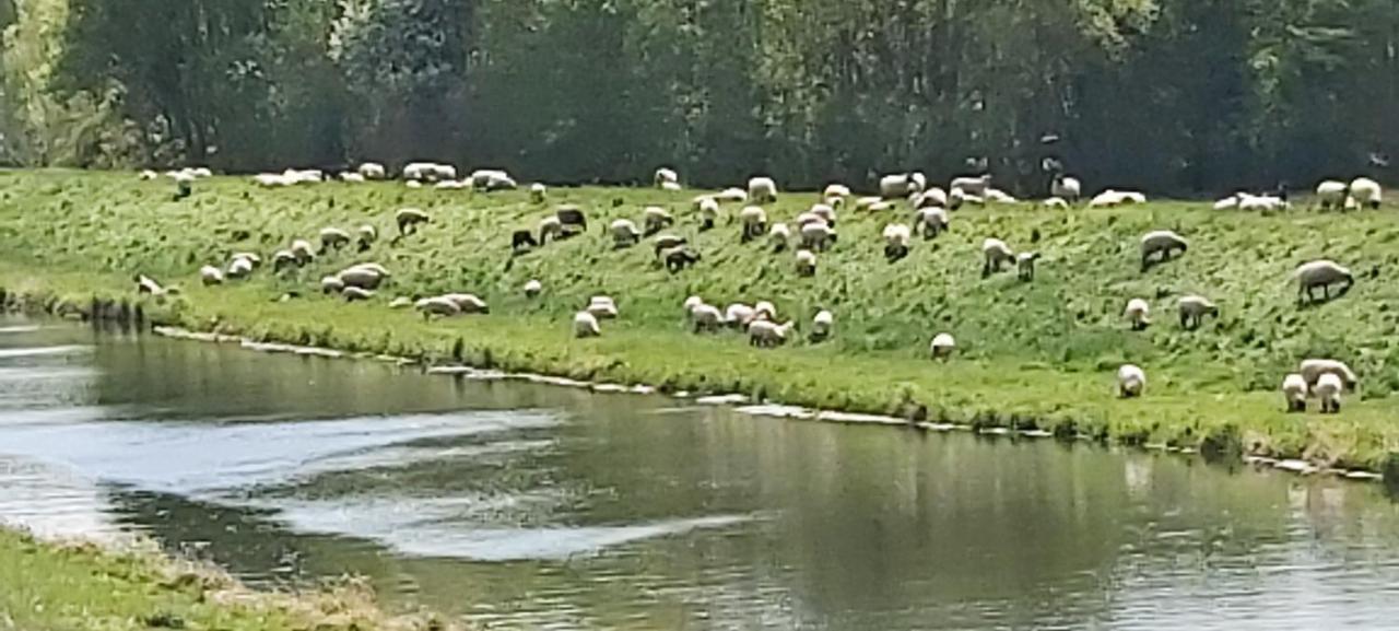 De Lut Ferienhof Jameln Appartement Buitenkant foto